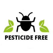 Pesticide Free CBD Vape Oil
