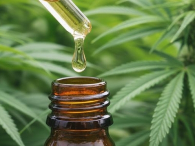 Can CBD oil expire. Image is has a bottle of CBD oil with hemp plants in the background.
