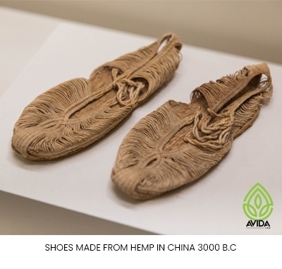 Hemp Shoes