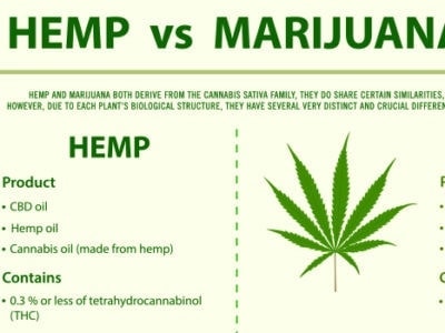 Hemp vs Marijuana Header