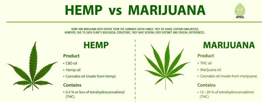 Hemp vs Marijuana Header