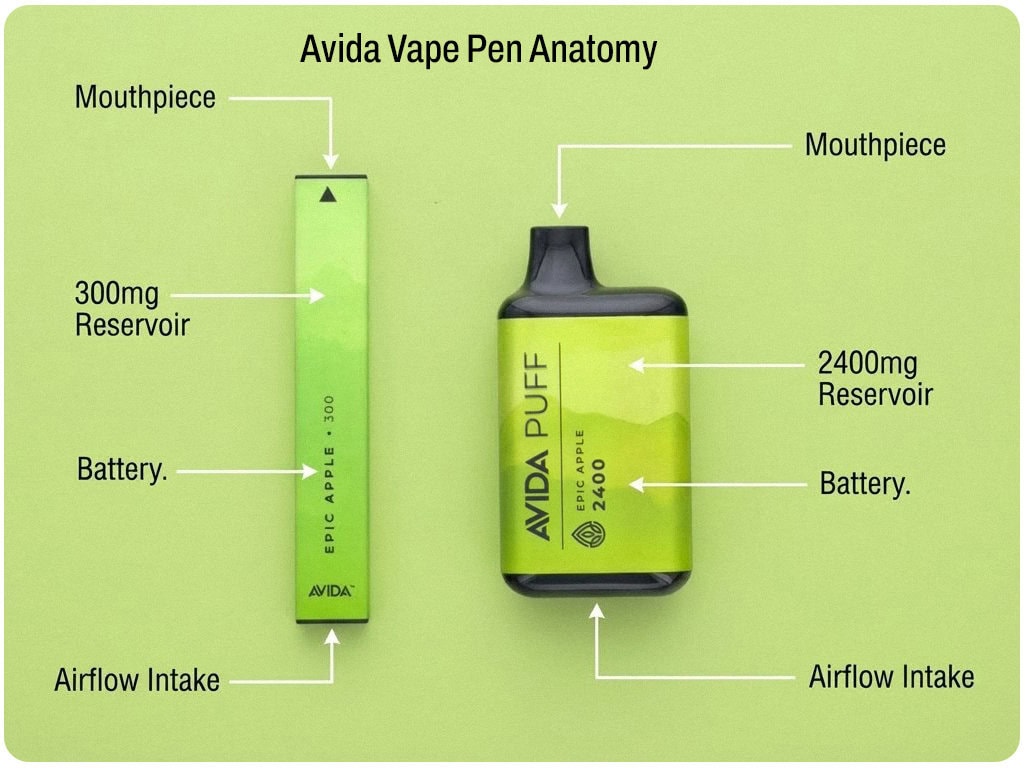 Avida Anatomy Diagram -Mouthpiece, Airflow Intake, 300mg/2400mg Reservoir, Battery.