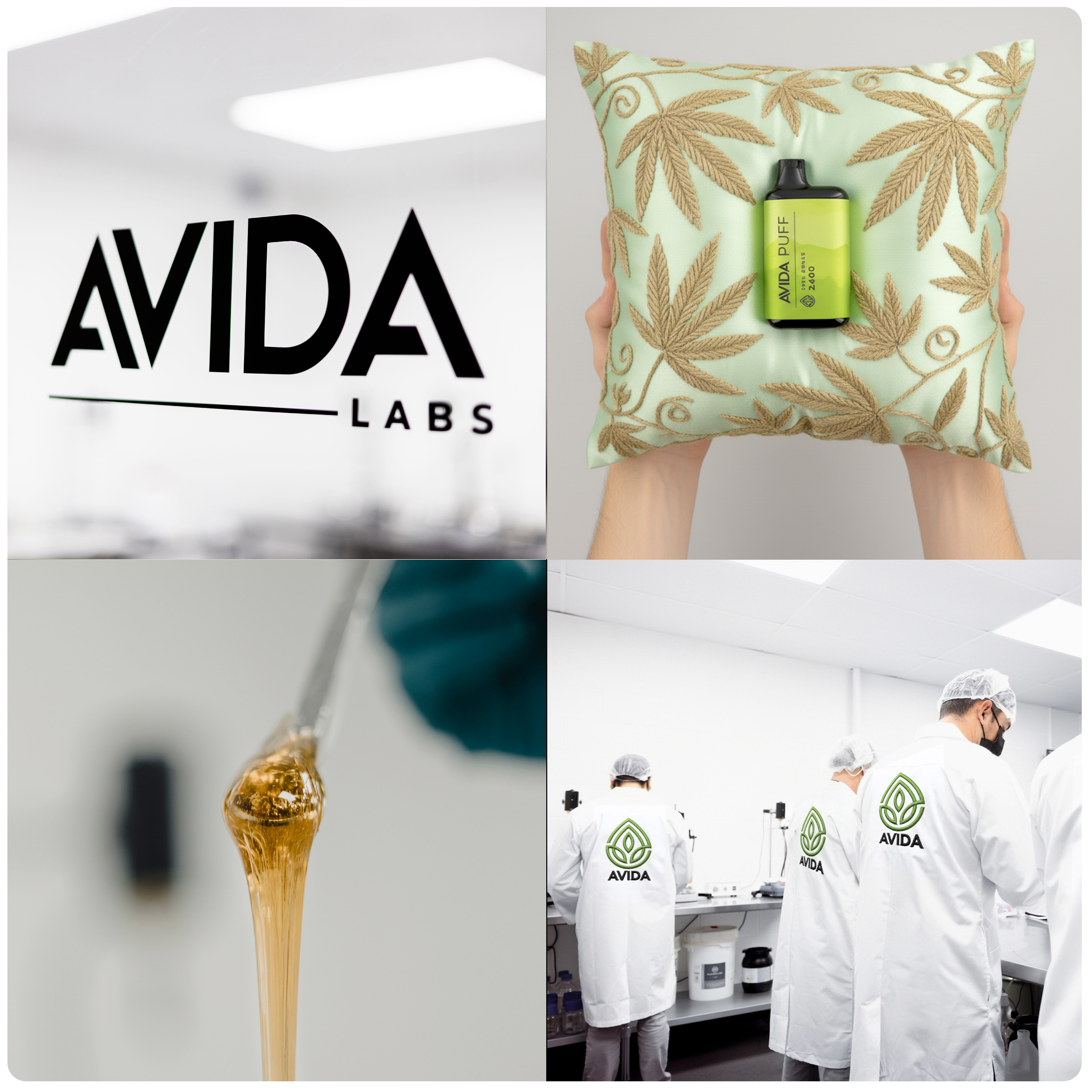 avida_puff_Avida_labs avida labs