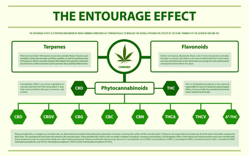 Entourage Effect