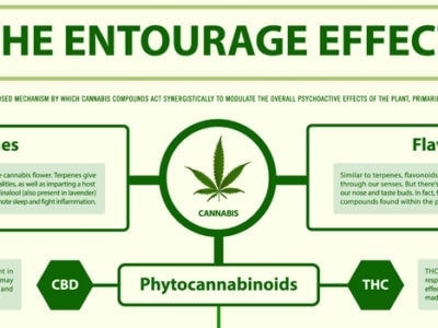 The entourage effect with hemp CBD