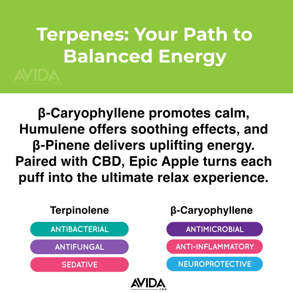 Terpenes: Your Path to balanced energy.