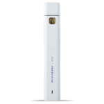 Full Spectrum CBD Vape Pen Blueberry 400mg