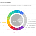 The Entourage Effect Chart